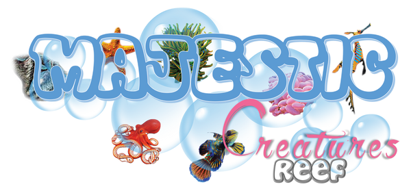 Majestic Creatures Reef